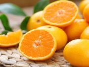 Think You Know Everything There Is to Know about Vitamin C? Think Again!