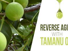 Reverse Aging with Tamanu Oil (and 8 Other Ways to Use This Amazing Remedy)