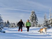 7 Essentials for Beating the Winter Fitness Blues