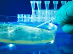 Chipotle E. Coli Outbreak in America’s Heartland Remains a Mystery