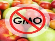 Yurok Tribe of California Takes Historic Stand Against GMO Crops & Genetically Engineered Salmon