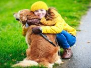 Have You Hugged Your Dog Today?