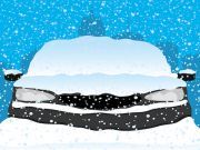 Trader Joe’s Survival Essentials Fly Off the Shelves Pre-Jonas