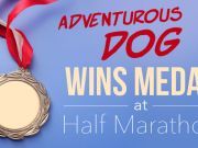 Adventurous Dog Wins Medal at Half Marathon