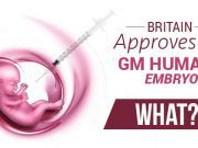 Britain Approves GM Human Embryos… What???