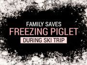 Family Saves Freezing Piglet During Ski Trip
