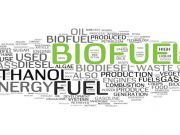 Bizarre But True: The Real Story Of Ethanol Fuel And Corn