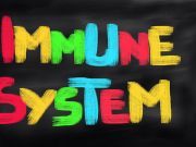 Want A Stronger Immune System? Try Garcinia Indica
