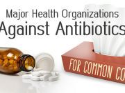 Major Health Organizations Against Antibiotics for Common Colds