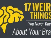 17 Weird Things You Never Knew About Your Brain