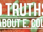 9 Truths About E. Coli