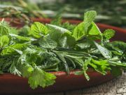 4 Herbs That Are As Good As Over-The-Counter Pain Meds