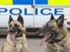 Dogs That Deserve Honor: Police K-9 Units