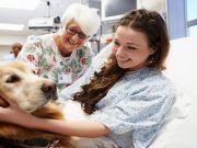 Is Your Pooch A Potential Therapy Dog?