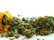 We Now Spend More On Legal Weed Than On Girl Scout Cookies