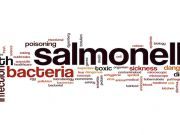 Is Your Spice Cabinet Hiding Salmonella?