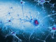 How To Kill Brain Cells Fast