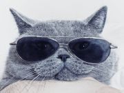 Top 9 Reasons You Need To Wear Sunglasses