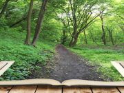 4 Books To Motivate And Awaken Your Hiking Spirit