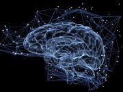10 Ways To Boost Your Brainpower (We Like #10 Best)