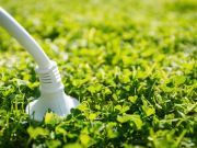 Can A Synthetic-Grass Roof Power Your Home?