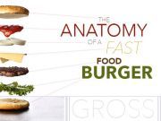 The Anatomy Of A Fast Food Burger — Gross