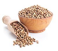 d6918560fee1d9d41736439c0ecbbd2a