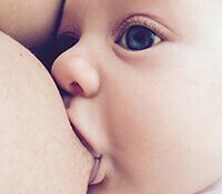 d6c5a5ebbecde5cc8eb7e9073303366e