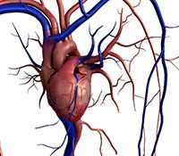 d6c94b14b845fa9ef4ad7c4678c2c835