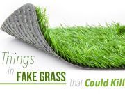 6 Things In Fake Grass That Could Kill You
