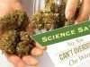 Science Says: No, You Can’t Overdose On Weed