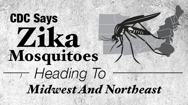 CDCSaysZikaMosquitoesHeadingToMidwestNortheast_640x359