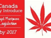 Canada May Introduce Legal Marijuana Legislation By 2017