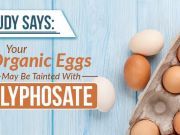 What’s Hiding In Your Organic Eggs?
