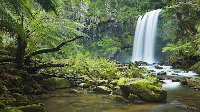Rainforest waterfalls, Hopetoun Falls, Great Otway NP, Victoria, Australia