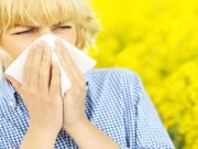 Zap Spring Allergies Fast With These Natural Remedies