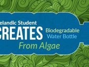 Icelandic Student Creates Biodegradable Water Bottle From Algae