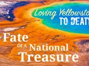 Loving Yellowstone To Death — The Fate Of A National Treasure