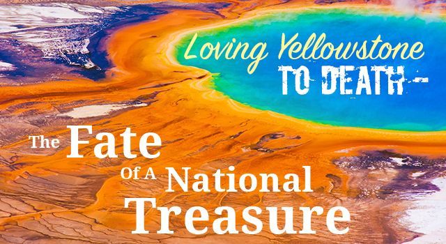 Loving Yellowstone To Death — The Fate Of A National Treasure