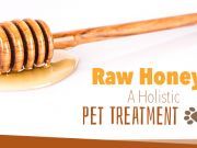 Raw Honey — A Holistic Pet Treatment