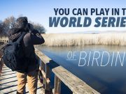 You Can Play In The World Series — Of Birding