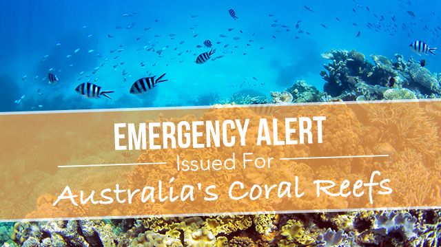 emergencyalertaustraliacoralreef_640x359