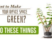 Want to Make Your Office Space Green? Do These Things