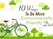 10 Ways To Be More Environmentally Friendly Daily