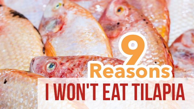 9reasonsiwonteattilapia_640x359