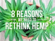 8 Reasons We Need To Rethink Hemp