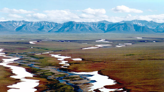 Arctic National Wildlife Refuge and Preserve