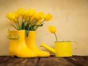9 Old Things You Can Make New Again
