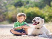 5 Ways To Know Your Kids Are Ready For A Dog