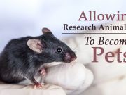 Allowing Research Animals To Become Pets